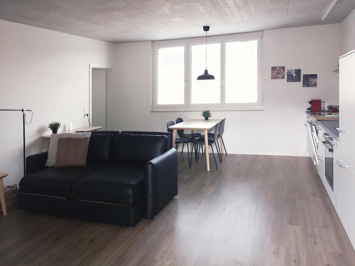 Atrium Apartments Schaffhausen Kültér fotó