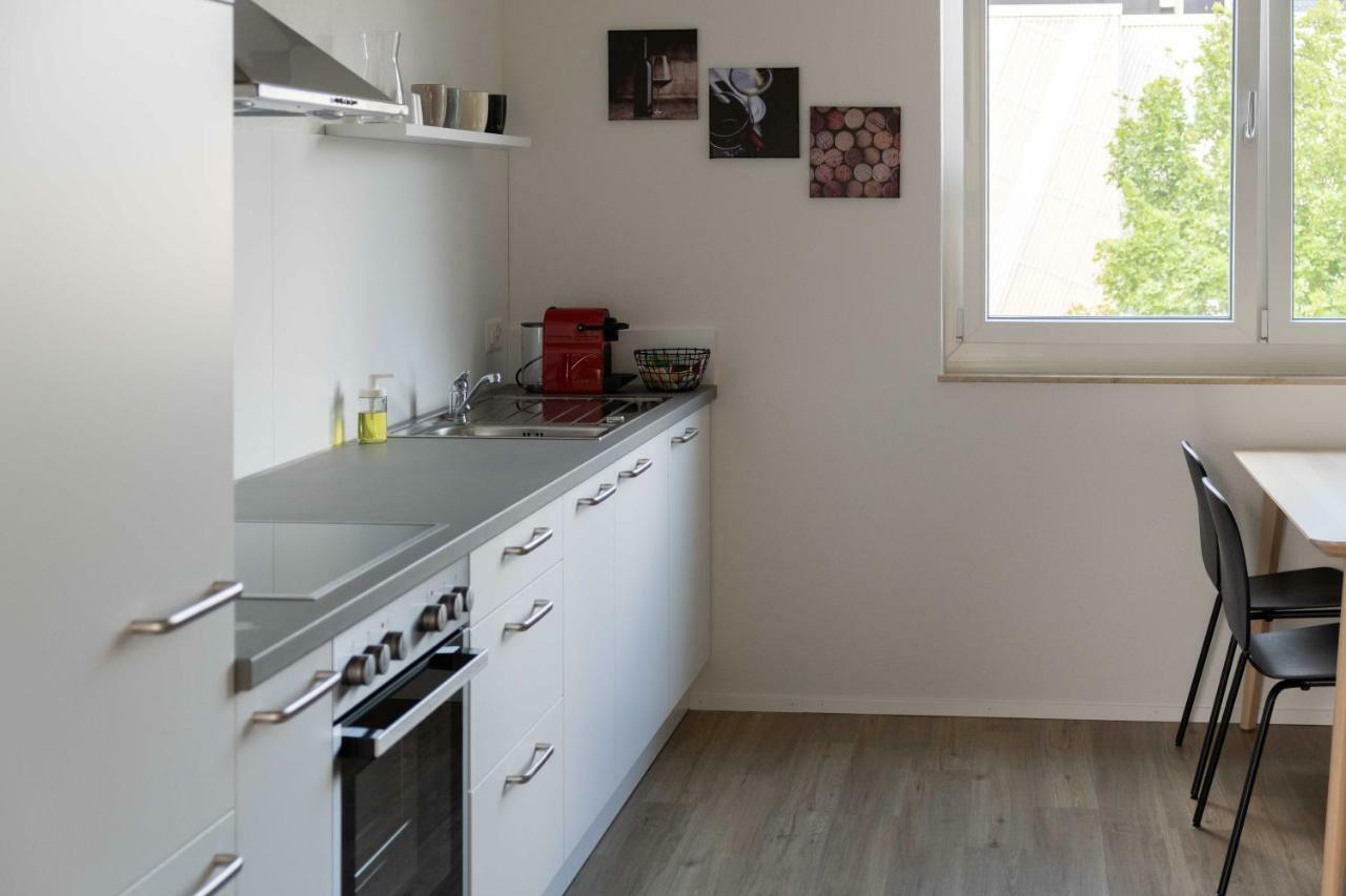Atrium Apartments Schaffhausen Kültér fotó